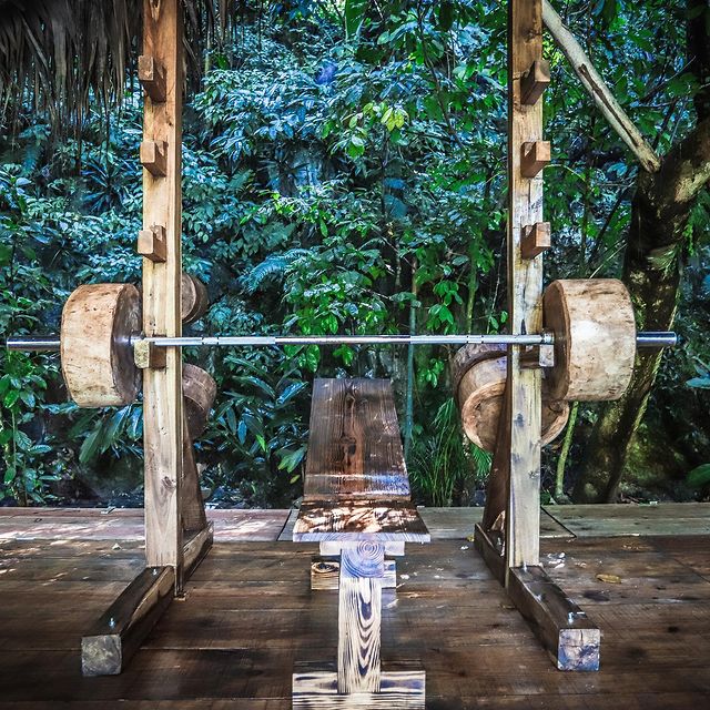 Unique Jungle Gym